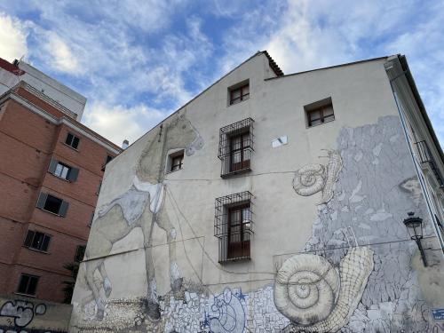 The photos of valencia street art private tour