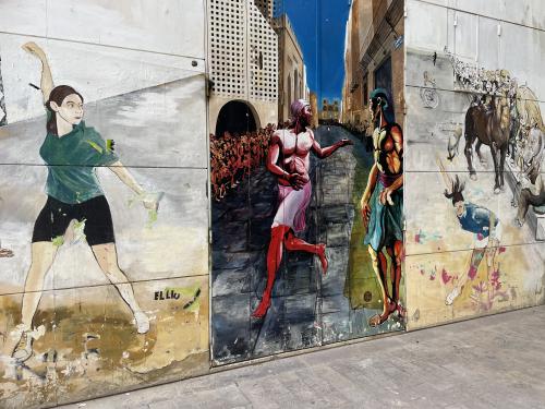 The photos of valencia street art private tour