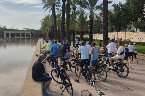 "City of Arts ans Sciences" Group Guided Tour