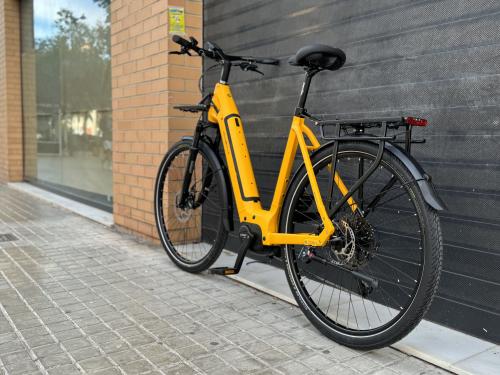 Los fotos de bicicleta eléctrica para recorridos largos