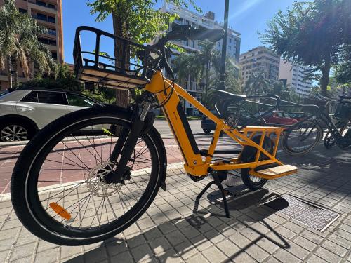 Les photos de vélo électrique family cargo longtail