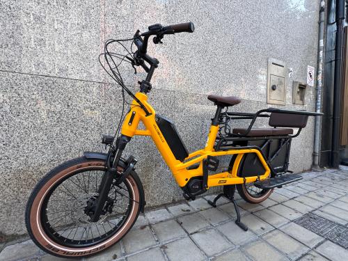 The photos of family cargo premium longtail e-bike
