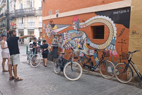 Visite guidée privée à vélo de l'art de la rue 