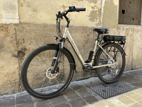 The photos of classic electric bicycle 28''