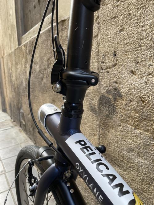 De foto`s van opvouwbare stadsfiets 20"