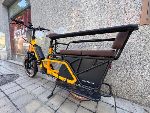 The photos of family cargo premium longtail e-bike