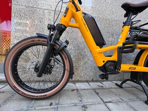 The photos of family cargo premium longtail e-bike