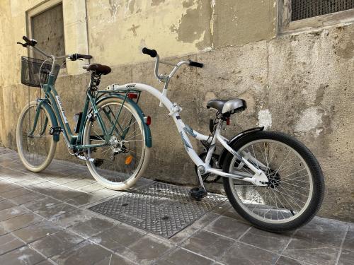 Bicicleta and niño online and tandem