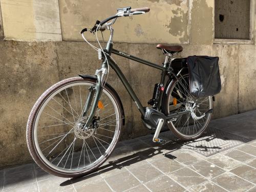 The photos of classic electric bicycle 28''