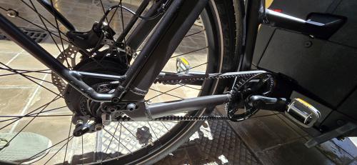 Les photos de vélo électrique family cargo r&m