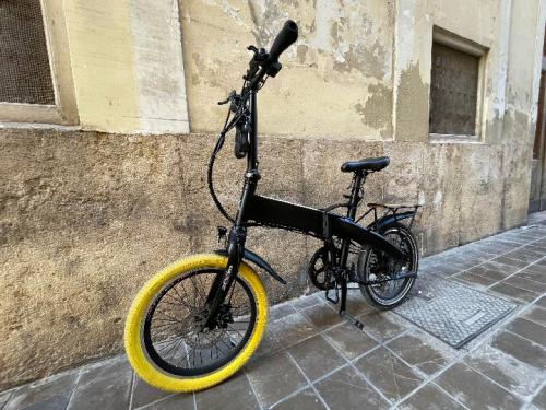 De foto`s van klassieke elektrische fiets 24
