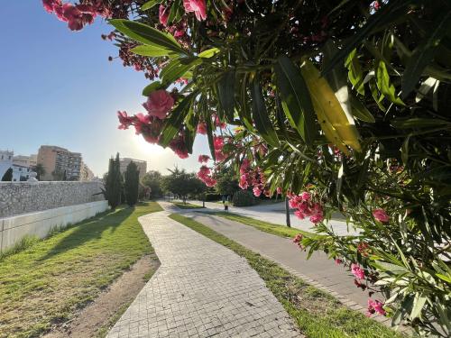 "City of Arts and Sciences" Group Guided Tour