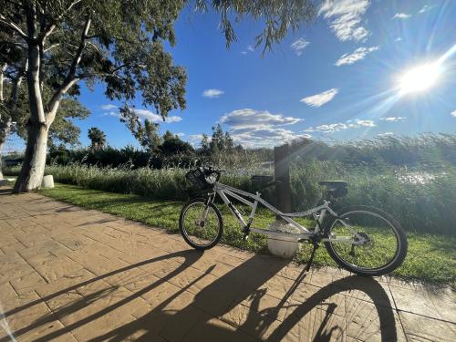 The photos of albufera private bike tour