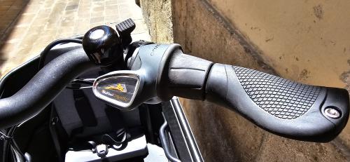 Les photos de vélo électrique family cargo r&m