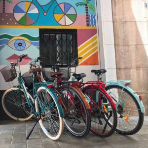Cómo elegir la bicicleta ideal para un paseo