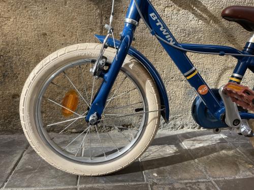 Alquile una bicicleta tándem en Valencia en Pelican Bike