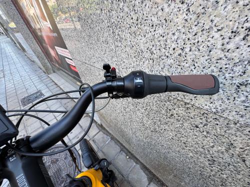 The photos of family cargo premium longtail e-bike