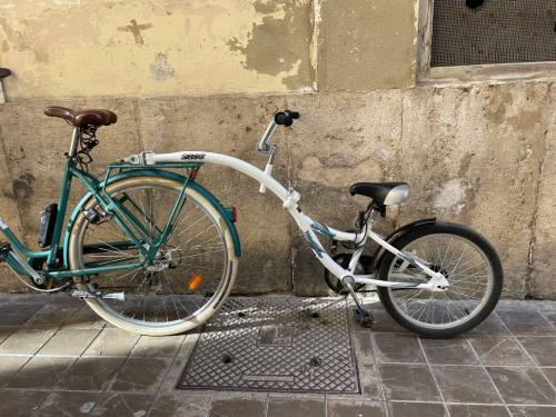 Alquile una bicicleta tándem en Valencia en Pelican Bike