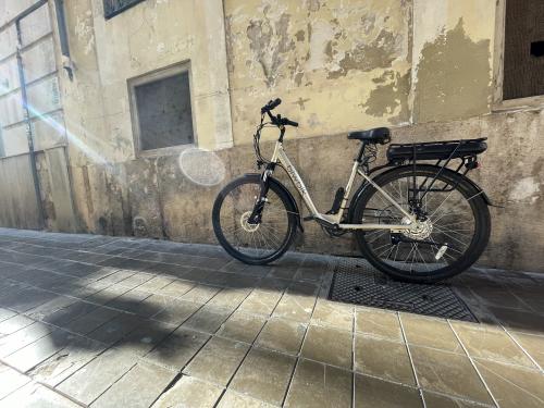 The photos of classic electric bicycle 28''