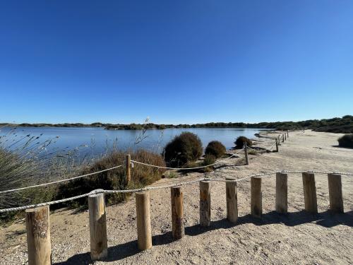 The photos of albufera and el palmar bike tour