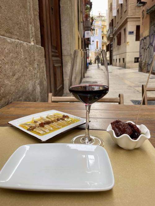 Fietstochten in Valencia