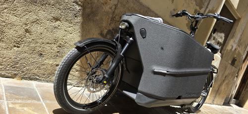 Les photos de vélo électrique family cargo r&m
