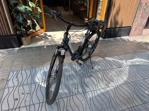Les photos de vélo électrique biwbik d'occasion