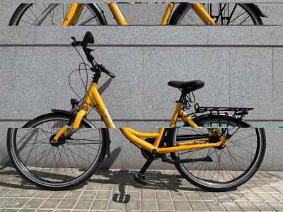 Premium City Bike with Nexus Gear