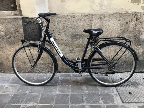 Les photos de location de vélo 26" longue durée