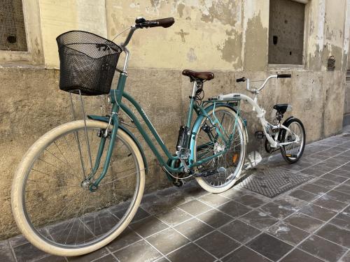 Alquile una bicicleta tándem en Valencia en Pelican Bike