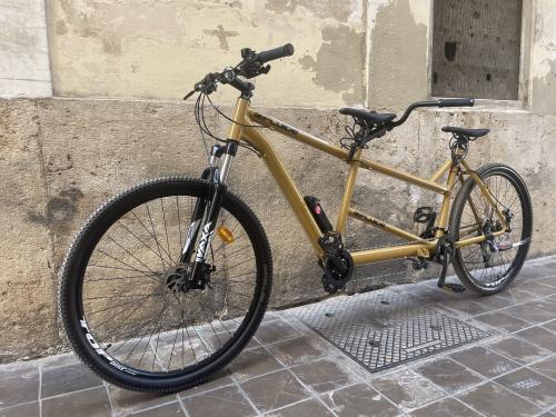 The photos of tandem bike