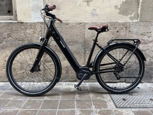 De foto`s van cannondale - premium elektrische fiets