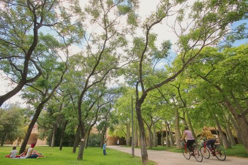 Tour en bicicleta por los tres parques de Valencia