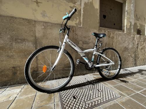 Los fotos de bicicleta para niños (a partir de 8 años)