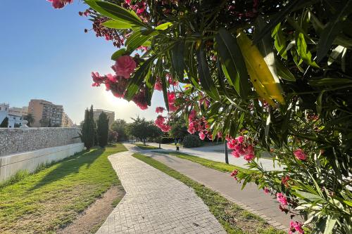 Tour en bicicleta por los tres parques de Valencia