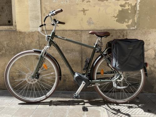 The photos of classic electric bicycle 28''