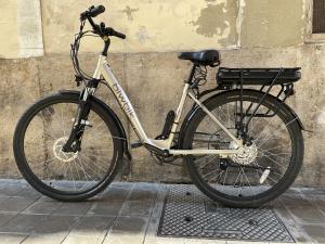 Classic electric bicycle 