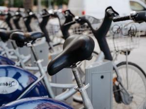 Valenbisi vs Local Bike Rentals in Valencia: What’s the Best Option?