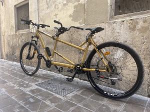 Bicicletta tandem