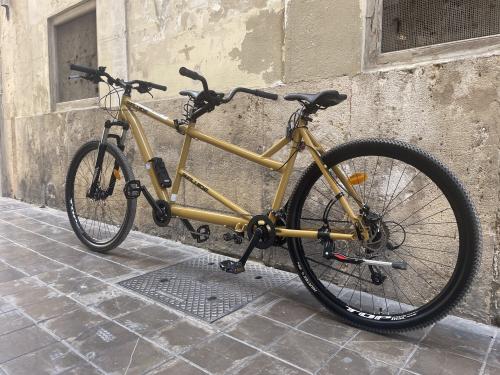 Los fotos de bicicleta tándem