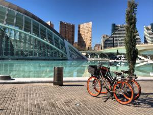 Stad van Kunst en Wetenschappen fietstocht