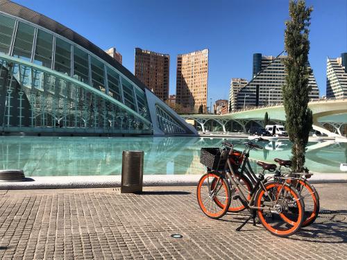 The photos of city of arts and sciences bike tour