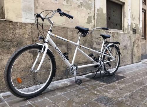 Bicicleta tándem montaña doble