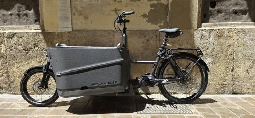 The photos of family cargo e-bike