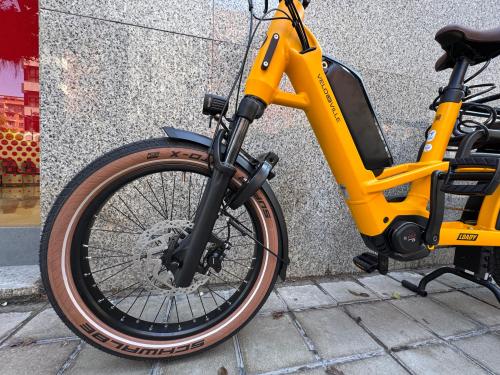 The photos of family cargo premium longtail e-bike