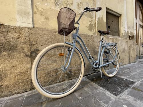 The photos of city bike
