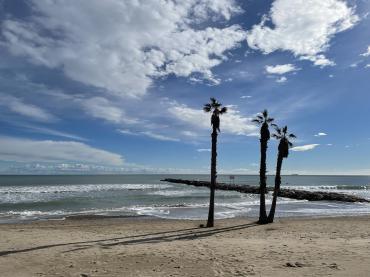 Activities in Valencia