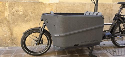 The photos of family cargo e-bike