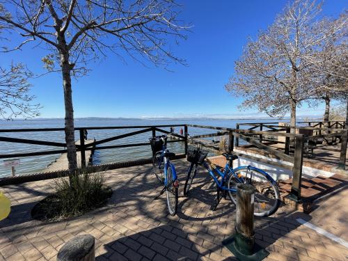 The photos of albufera private bike tour