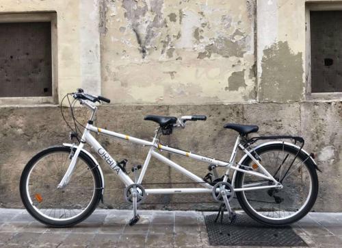 Alquile una bicicleta tándem en Valencia en Pelican Bike